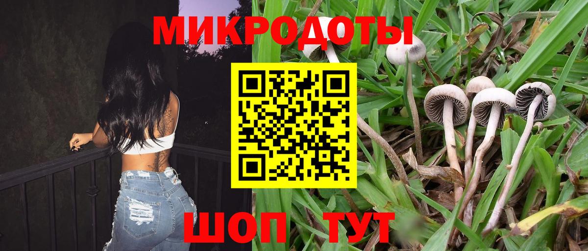 Ишим  Галлюциногенные грибы Cubensis  Вход с VPN 